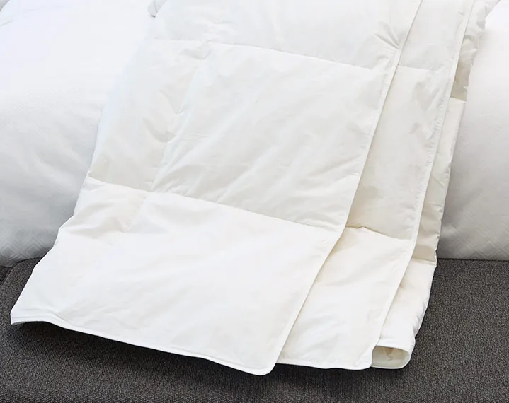 Lightweight  Down Blanket image